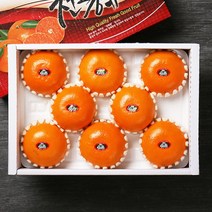 [빛과나무] [퀵/서울전역]자연속 빛가득 제주천혜향세트 3kg(6-10입), 상세 설명 참조