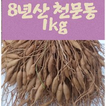 국산 8년생 생천문동 뿌리 1kg, 1개