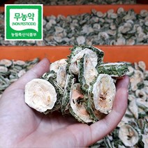 우리농원 무농약 국산 햇건여주, 1팩, 건여주 1kg