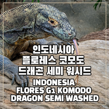 (커피생두) 6 인도네시아 플로세스 코모도 드래곤 세미 워시드 1kg