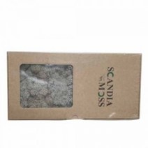 천연이끼 스칸디아모스 실버그레이(150g) - 공기정화 기능 관리쉽고 그늘에서도 잘 자라는 인테리어 식물 취미 원데이 클래스 디퓨저 화분 만들기(4개 이상 주문배송)