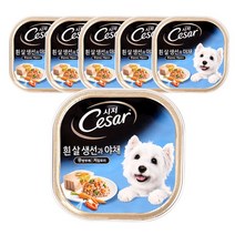 시저 흰살생선과 야채 반려동물 주식 캔, 100g, 6개입