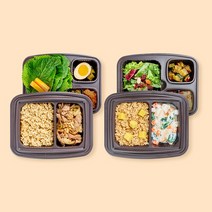[풀무원] 디자인밀 매일배송 도시락 500차림 2주/10일_홈배송, 없음