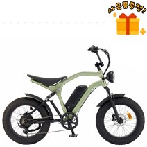 삼천리 2023 팬텀 머스켈 20인치 MTB 전기자전거, 세이지그린/블랙(무광)