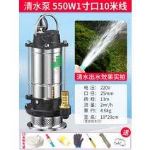 농업용양수기 소형 엔진 물 펌프 잠수정 220v 하수 가정용 워터 하이 리프트 농업, 깨끗한 물 펌프 550w 1 인치 10 미터 라인