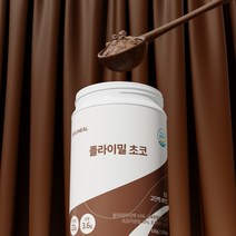 플라이밀 단백질 쉐이크 대용량 630g, 초코(630g/14회분), 1통