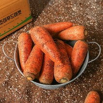 농부마음 싱싱한 흙당근 10kg(상품/쥬스용)
