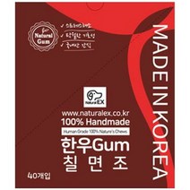 오너클랜 한우껌 칠면조말이 애견 치아관리 스틱껌 1P 40개, 1, 본상품선택, 단일