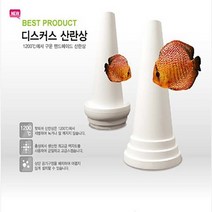 신바람 핫피쉬 디스커스산란상 흰색 소형 계단형