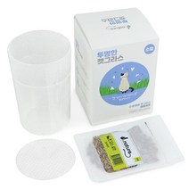 집사 DIY 캣그라스 키우기 수경 재배 키트 심신안정 캣닢