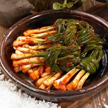 신선한국내산파김치 인기 제품들