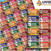 동원 뉴트리플랜 고양이 습식 대용량 캔 160g x 96개 맛별 골라담기, 참치, 게맛살