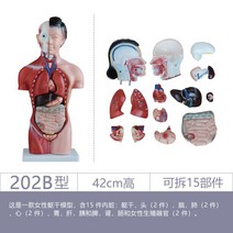 피규어, 유형 202B / 높이 42cm