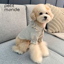 스트라이프 라헨 프릴 블라우스, 단품
