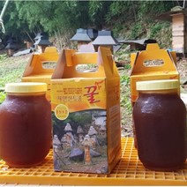 네이처드림 자연산 천연벌꿀 한봉꿀 100% 토종꿀, 1병, 2.4kg