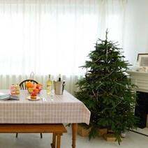 효담상회 방수 체크 식탁보 테이블보 8종 2인 4인 6인용, 3.베이지, 6인(140*220)