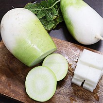 제주무 제주월동무 맛좋은 월동무 5kg 10kg, 1박스