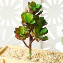 (주)아트인 인조 다육이(L02), 그린&퍼플