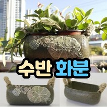 옹기 수반, 연꽃