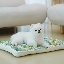 강아지 쿨방석 여름 켄넬방석 쿨링 방석 쿨쿠션, 정글 사각 쿨방석