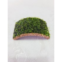 새우오작교/동굴/프리미엄 모스활착 [체리새우/crs새우/생이새우키우기] 애완관상용새우놀이터, 스페셜에디션 구름다리(대)+프리미엄모스 활착