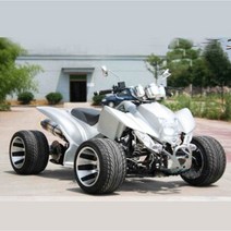 신형 ATV 4륜 해변 오토바이 럭셔리한 외관, 고급 구성 250CC 14인치 타이어