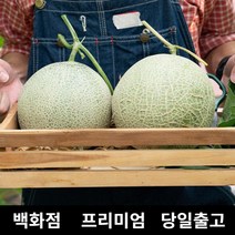 [특등급선별] 멜론 8kg MELON 멜론가격 포포열매 세지메론 메론 머스크멜론 양구메론 메론가격 곡성메론 하미과메론 매론 멜론선물 명절과일선물세트 곡성멜론 과일멜론 과일추천