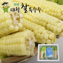 찰지고 맛난 괴산대학찰 옥수수/황금맛찰 2가지, 냉동15개 특품