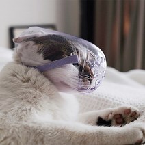 강아지 산소 호흡기 고양이 산소방 통기성 고양이 개 muzzle anti-bite 정리 마스크 애완 동물 고양이 입 마스크 커버 muzzle for cat 강아지 산소방 대여, s