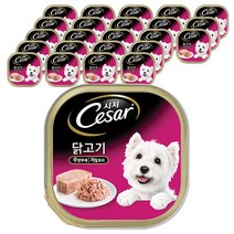 시저 반려견 주식캔 닭고기, 24개입, 100g
