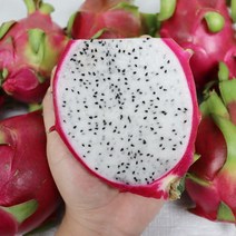 수입용과 프리미엄 열대과일 백용과 용과 2.5kg 5kg, 수입 백용과 용과 5kg, 1개