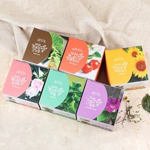 꿈쟁이 자연애 마이가든 식물기르기 6종(해바라기 방울토마토 바질 봉선화 나팔꽃 강낭콩) 새싹재배기, 해바라기