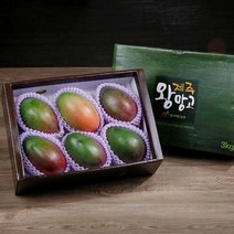 왕망고 프리미엄 선물세트 과일 2호 제주 국산 세트, 상세페이지 참조