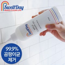 스웰데이 곰팡이제거제 250ml, 단품