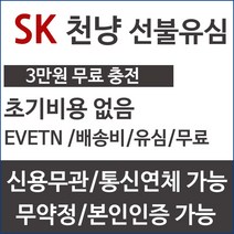 프리텔레콤 SK선불유심.3만원무료충전.유심개통.선불폰, 90일, 1gb