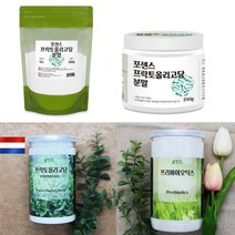 신프리바이오틱스 프락토올리고당 프리바이오스틱 갈락토 자일로올리고당 유산균분양 효능 효과, 1-1포센스 프락토올리고당 500g 1팩
