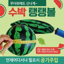 탱탱볼 [수박탱탱볼] 탱탱볼/칼라탱탱볼/무지탱탱볼/삼색탱탱볼/돼지탱탱볼/물놀이공/물놀이용품/비치볼, 돼지탱탱볼(블루)