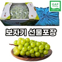 선제이피지 일반 선물포장 고당도 김천 샤인머스켓 Shine Muscat, 2kg 3수(선물용포장)