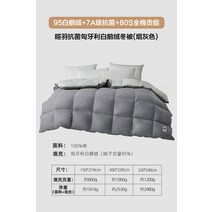 bbmarket 오리털이불 구스다운 거위털 호텔침구 홈 텍스타일 이불 봄과 가을 퀼트 코어 헝가리 수입 95 흰 거위 겨울 퀼트 두꺼운 따뜻한 거위 퀼트, 150cm×210cm, C.헝가리산 겨울 이불 95% 화이트 구스다운  항균