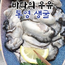맛집사 통영 생굴 자연산 굴 제철 무침용 횟감용 봉지 구이 찜 산지직송 1kg, 생굴 1kg