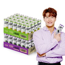 칼로바이 프로틴 스파클링 48개입 혼합세트 김종국 단백질 보충제 락토프리 무설탕 탄산음료 레몬라임 24캔+포도 24캔, 240ml, 48개