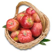 아침이슬사과 경북 23년 햇 홍로 사과 가을 빨간사과 모음, 1박스, 05_경북 가정용 홍로 5kg 꼬마(29-38과)