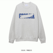 브릭레인 브릭레인 _A 조지아맨투맨