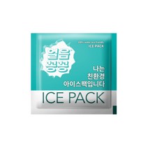 영진종합유통 미니아이스팩 9x8.5cm 250개 완제품 친환경 부직포
