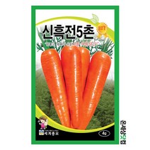 신흑전5촌당근 4g / 당근씨 당근씨앗 뿌리채소씨앗