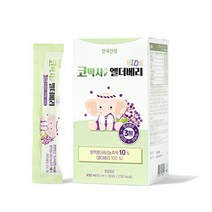안국건강 코박사엘더베리 정품, 450ml x 1개