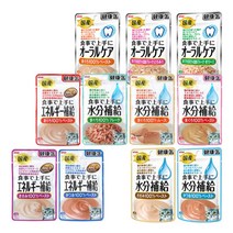아이시아 건강캔파우치 40g x 12개 고양이 간식, 1개, 수분보충 참치 무스