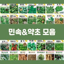 민속 채소 씨앗 종자 약초 도라지 더덕 공심채 잔대 냉이 고들빼기 방아잎 곤드레 당귀 텃밭, 47.야관문(비수리), 1개