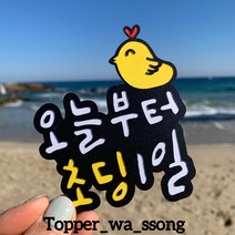 [토퍼와쏭] 1일기념일 삐약이토퍼 입학식선물 결혼식선물 꽃다발 장식에 좋아요., 꼬불이 우드픽, x