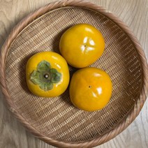 아삭 고당도 창원 태추 단감 배단감 2kg/3kg/5kg, 5kg(22과내외), 1개